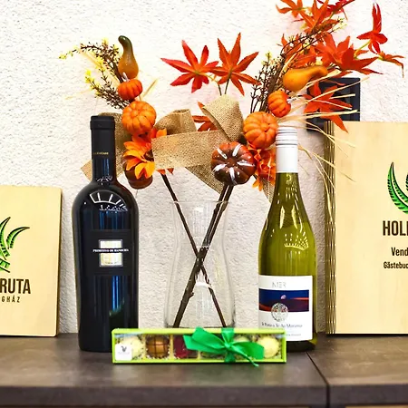 Holdruta Vendeghaz Gæstehus 4*