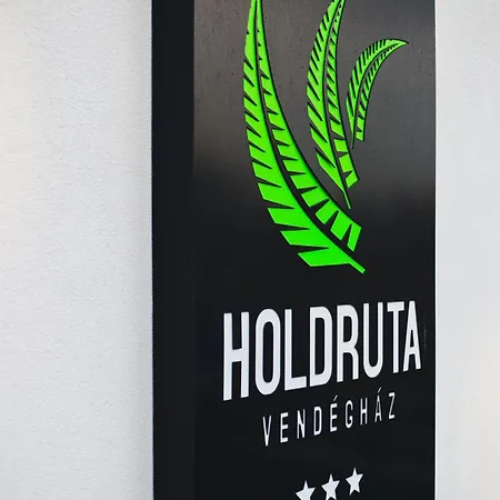 Guest house Holdruta Vendeghaz *