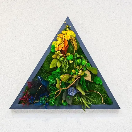 Holdruta Vendeghaz 4*