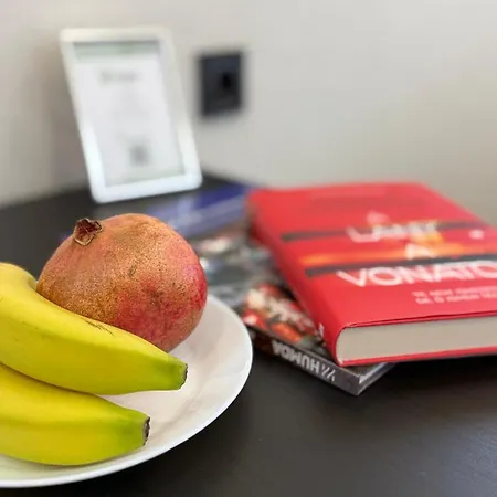 Holdruta Vendeghaz Kunfeherto