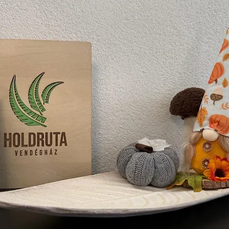 Holdruta Vendeghaz Guest house 4*